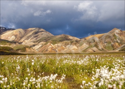 Landmannalaugar - Postkarte aus der Reihe «Eis + Land» mit Bildern aus Island. Foto: Annalena Moser. Die Postkarte ist im Postkarten-Shop unter www.postkarten-shop.com erhältlich.