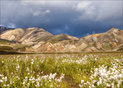 Landmannalaugar - Postkarte aus der Reihe «Eis + Land» mit Bildern aus Island. Foto: Annalena Moser. Die Postkarte ist im Postkarten-Shop unter www.postkarten-shop.com erhältlich.