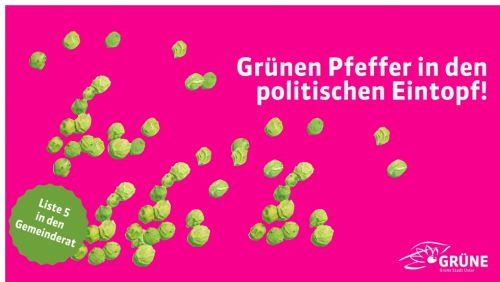Kino-Dia für die Grünen, Uster