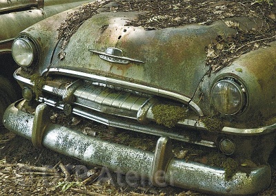 Postkarte «Plymouth - Limousine»  aus der Reihe «Technik + Natur» mit Bildern aus dem inzwischen geräumten Autofriedhof in Kaufdorf im Berner Gürbetal. Erhältlich unter www.postkarten-shop.com