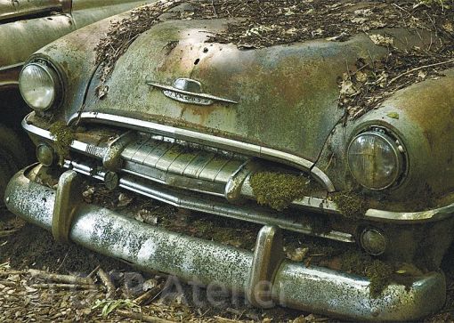 Postkarte «Plymouth - Limousine»  aus der Reihe «Technik + Natur» mit Bildern aus dem inzwischen geräumten Autofriedhof in Kaufdorf im Berner Gürbetal. Erhältlich unter www.postkarten-shop.com