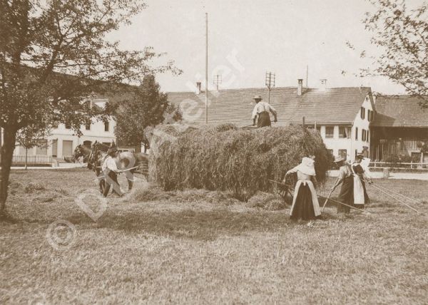 Postkarte aus der Reihe «Anno dazumal» - Heuen an der Zürichstrasse in Uster, 1900. Heute steht auf der Wiese das Einkaufszentrum Uschter77. Die Postkarte ist im Postkarten-Shop erhältlich unter www.postkarten-shop.com